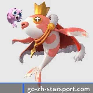 星空体育 APP（Starrysky Spor）